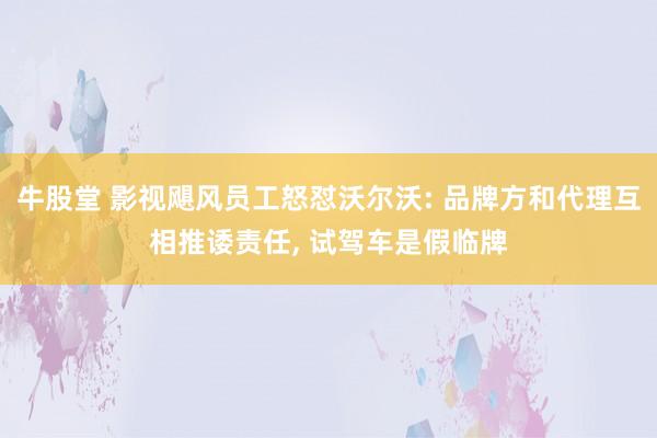牛股堂 影视飓风员工怒怼沃尔沃: 品牌方和代理互相推诿责任, 试驾车是假临牌