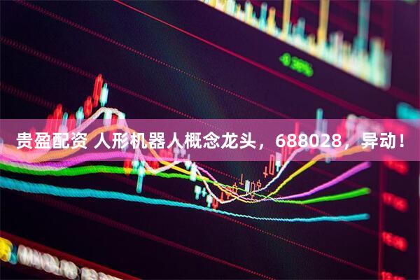 贵盈配资 人形机器人概念龙头，688028，异动！