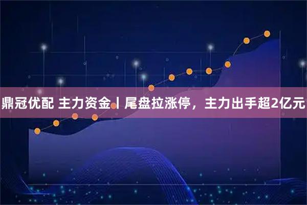 鼎冠优配 主力资金丨尾盘拉涨停，主力出手超2亿元