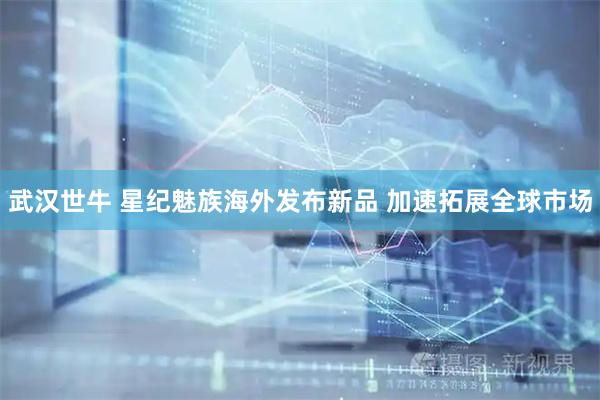 武汉世牛 星纪魅族海外发布新品 加速拓展全球市场