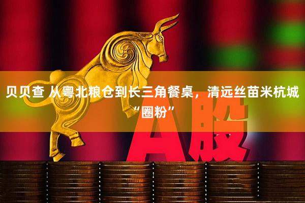 贝贝查 从粤北粮仓到长三角餐桌，清远丝苗米杭城“圈粉”