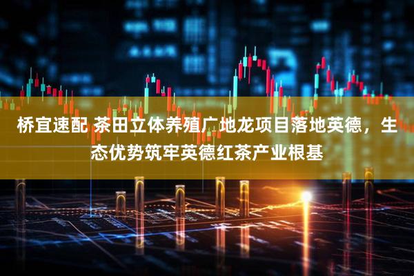 桥宜速配 茶田立体养殖广地龙项目落地英德，生态优势筑牢英德红茶产业根基