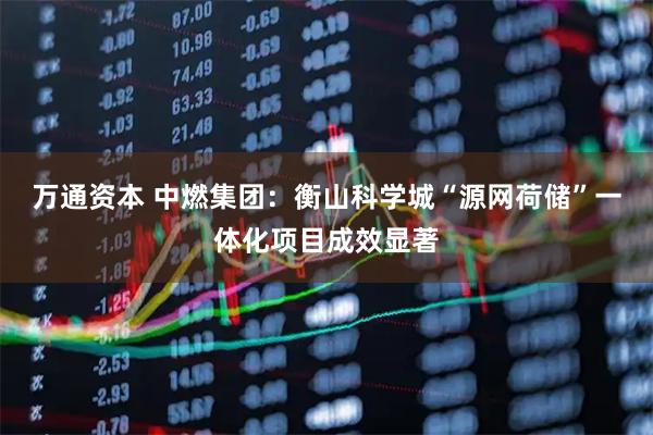 万通资本 中燃集团：衡山科学城“源网荷储”一体化项目成效显著