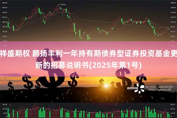 祥盛期权 鹏扬丰利一年持有期债券型证券投资基金更新的招募说明书(2025年第1号)