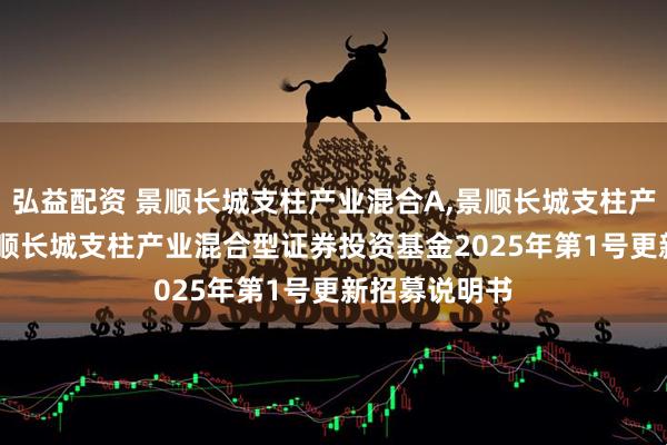弘益配资 景顺长城支柱产业混合A,景顺长城支柱产业混合C: 景顺长城支柱产业混合型证券投资基金2025年第1号更新招募说明书