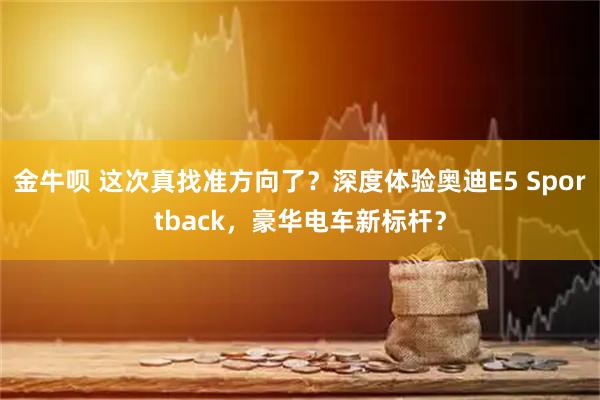金牛呗 这次真找准方向了？深度体验奥迪E5 Sportback，豪华电车新标杆？