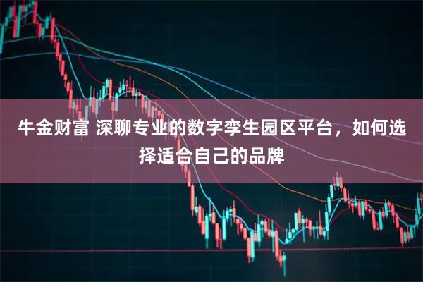 牛金财富 深聊专业的数字孪生园区平台，如何选择适合自己的品牌