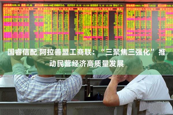 国睿信配 阿拉善盟工商联：“三聚焦三强化” 推动民营经济高质量发展