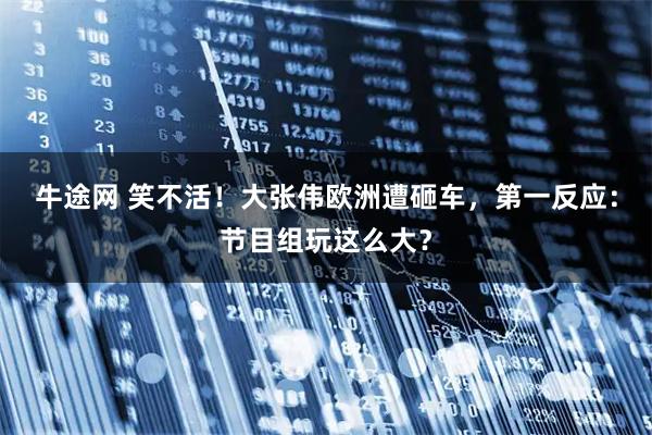 牛途网 笑不活！大张伟欧洲遭砸车，第一反应：节目组玩这么大？