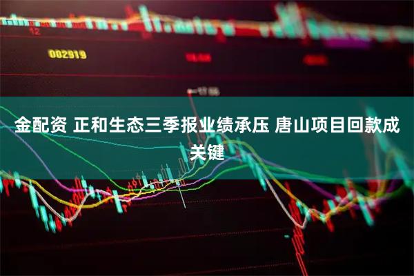 金配资 正和生态三季报业绩承压 唐山项目回款成关键