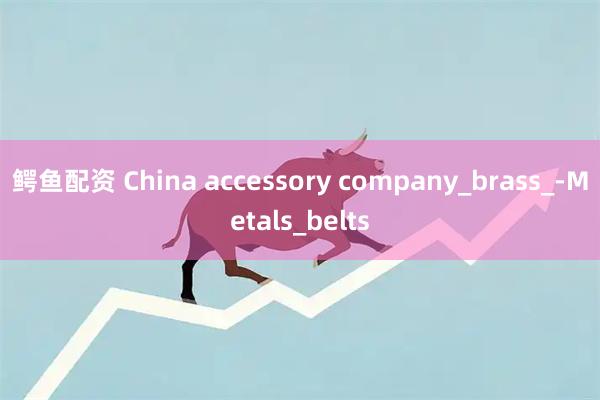 鳄鱼配资 China accessory company_brass_-Metals_belts